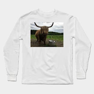 Scottish Highland Cattle Cow and Cat 2411 Long Sleeve T-Shirt